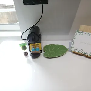  Appartement Cosy France